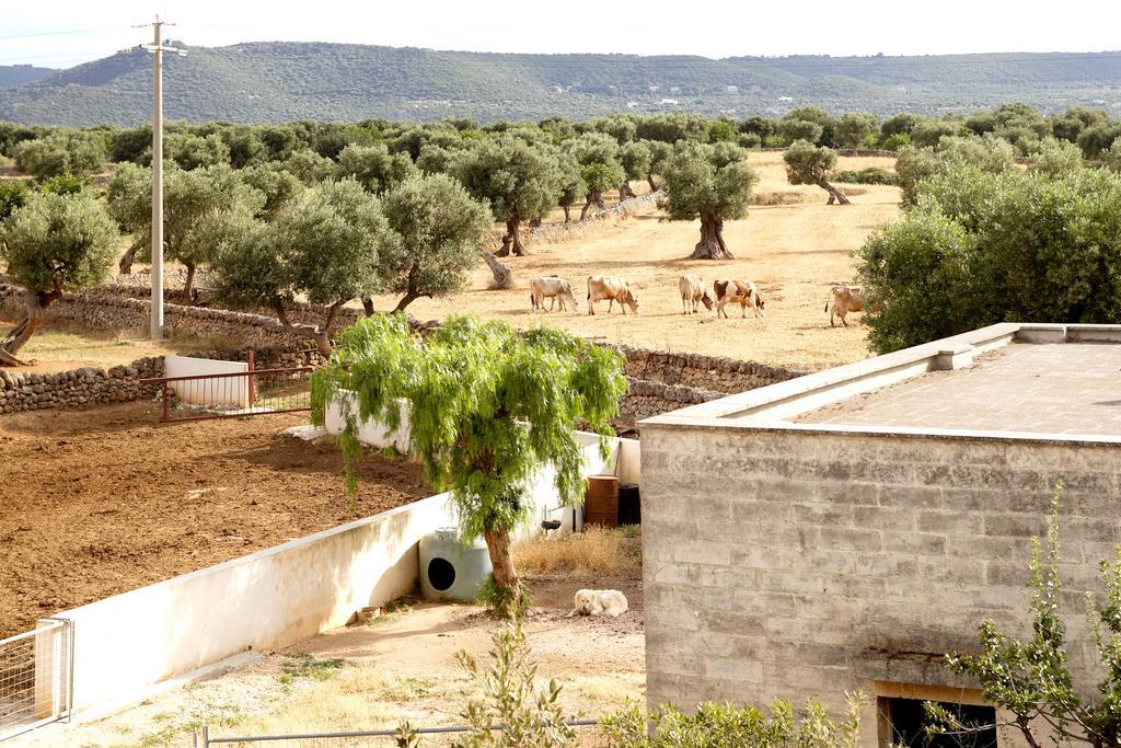 Masseria Curatori Monopoli Kültér fotó