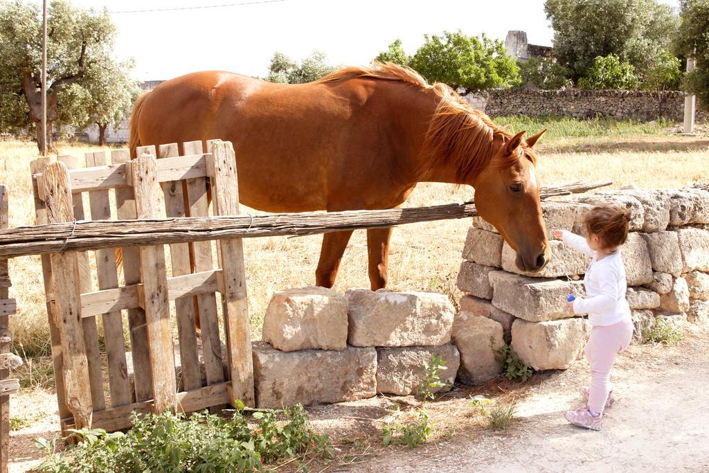 Masseria Curatori Monopoli Kültér fotó